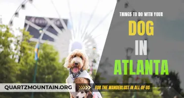14 Fun Activities to do with Your Dog in Atlanta