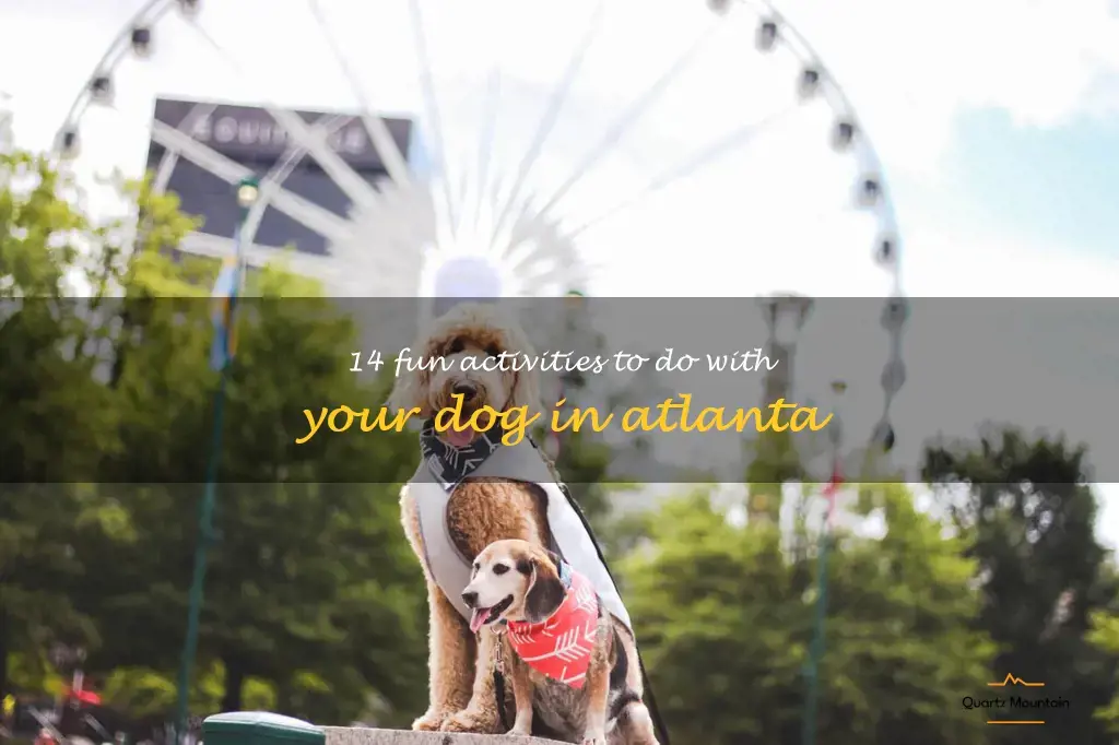 things to do with your dog in atlanta