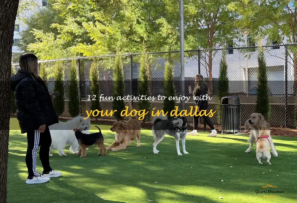 things to do with your dog in dallas