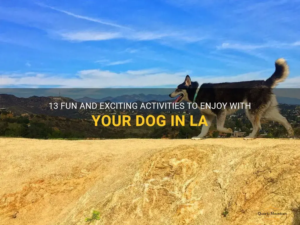 things to do with your dog in la