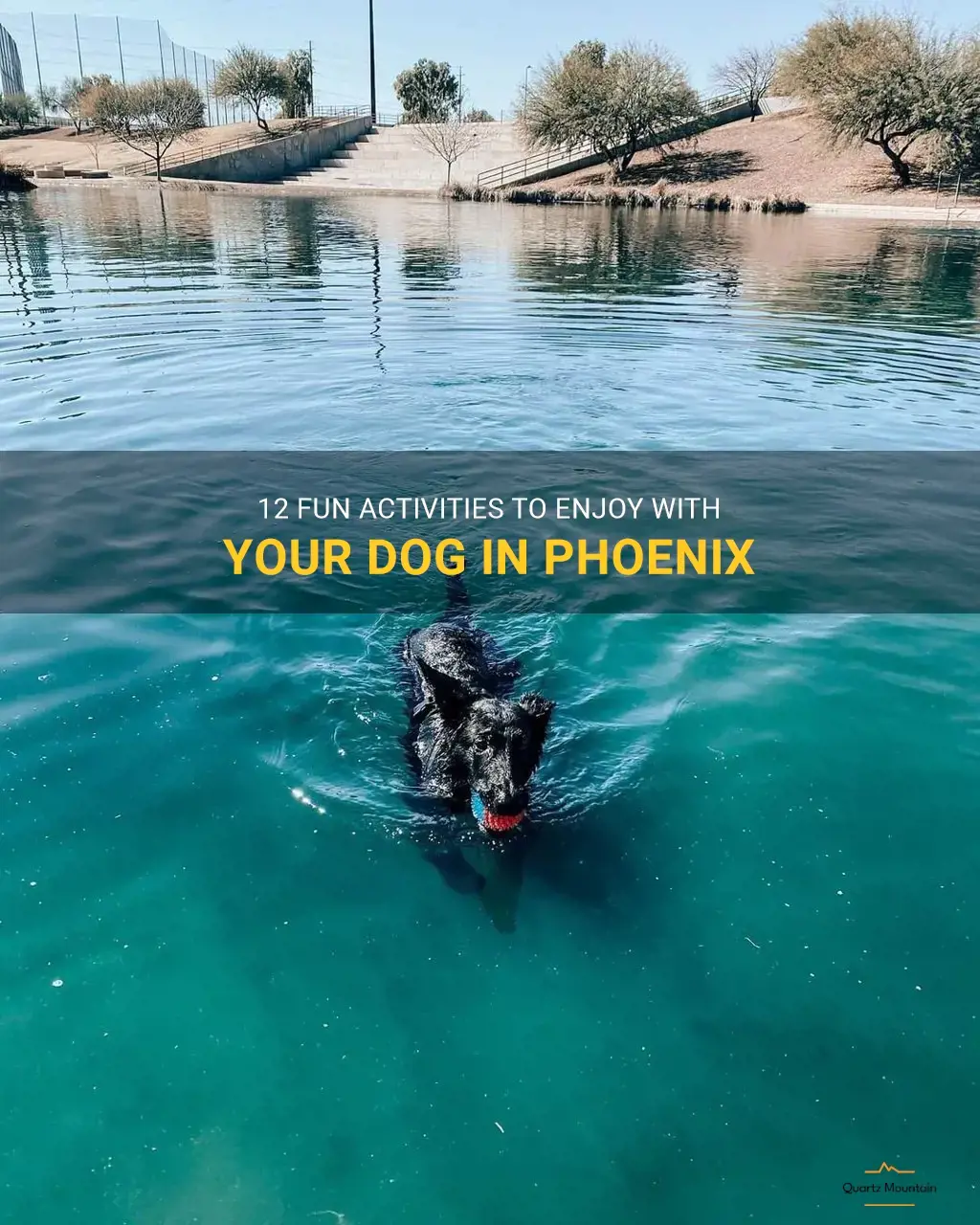 things to do with your dog in phoenix