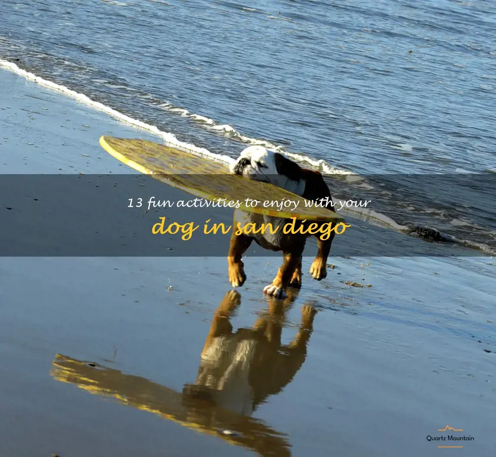 things to do with your dog in san diego