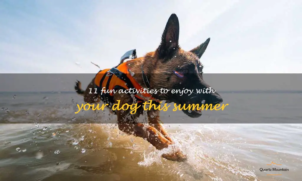 things to do with your dog in the summer