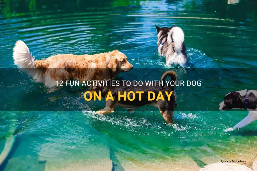 things to do with your dog on a hot day