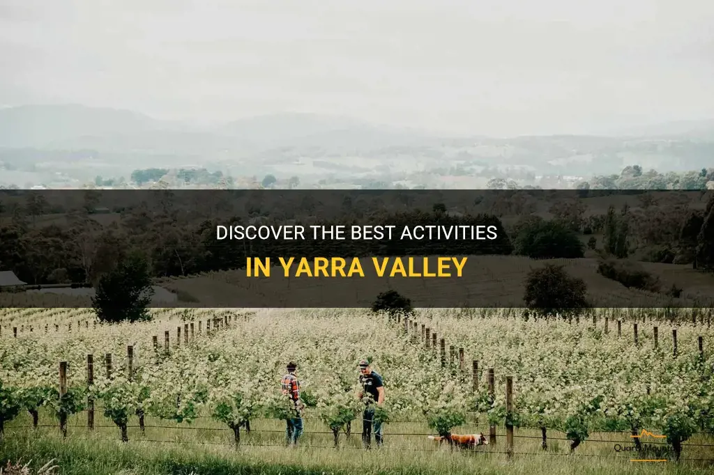 things to do yarra valley