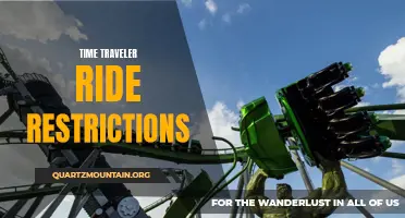 The Unforeseen Challenges of Time Traveler Ride Restricti