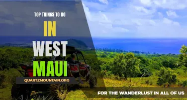 Discover the Best of West Maui with These Top Activities