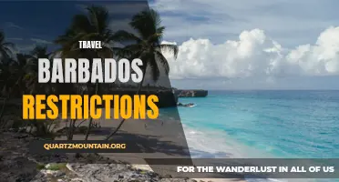 Exploring the Current Travel Restrictions in Barbados: What You Need to Know