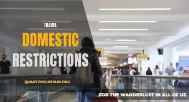 Understanding Domestic Travel Restrictions: What You Need to Know