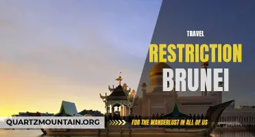 Brief Overview of the Travel Restrictions in Brunei