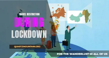 Exploring the Impact of Travel Restrictions during Lockdowns