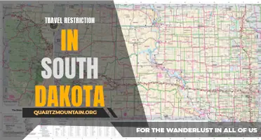 Exploring the Impact of Travel Restrictions in South Dakota