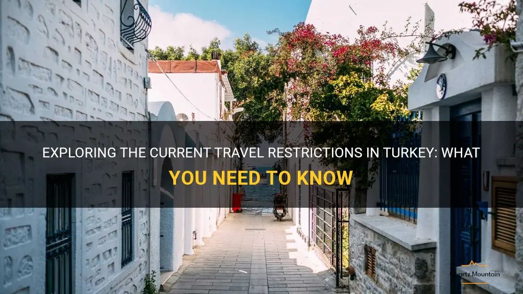 travel restriction turkey