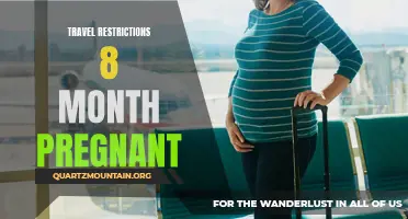 The Impact of Travel Restrictions on Pregnant Women at 8 Months Along