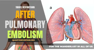 Understanding Travel Restrictions After Pulmonary Embolism: What You Need to Know