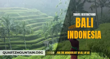 Navigating the Current Travel Restrictions in Bali, Indonesia