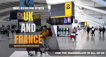 Exploring the Impact of Travel Restrictions Between the UK and France