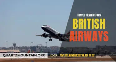 Navigating the Latest Travel Restrictions with British Airways
