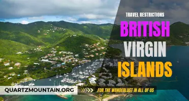 Understanding the Travel Restrictions in the British Virgin Islands
