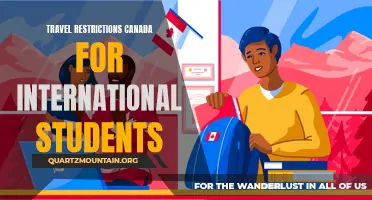 Exploring the Travel Restrictions Impacting International Students in Canada