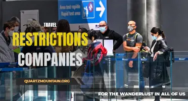 The Impact of Travel Restrictions on Companies: A Comprehensive Analysis