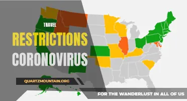 The Impact of Travel Restrictions Amid the Coronavirus Outbreak