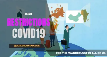 Understanding the Impact of Travel Restrictions during the COVID-19 Pandemic