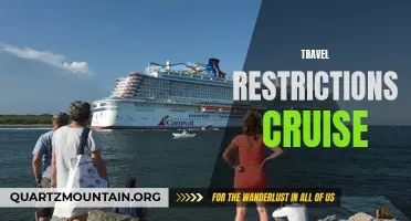 Navigating Travel Restrictions: How Will Cruise Ships Adapt?