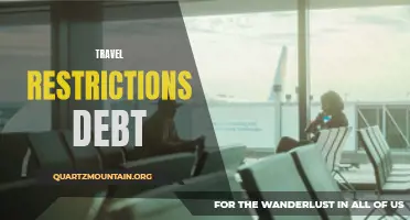 Exploring the Economic Consequences of Travel Restrictions Debt