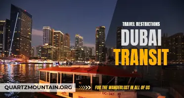 Understanding the Different Travel Restrictions for Transit Passengers in Dubai