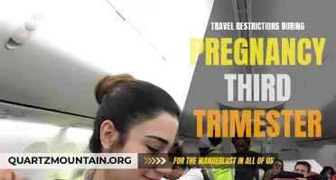 The Impact of Travel Restrictions on Third Trimester Pregnant Women: What You Need to Know