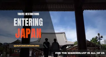 Understanding the Current Travel Restrictions when Entering Japan