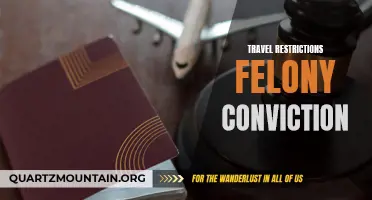Understanding Travel Restrictions After a Felony Conviction: What You Need to Know