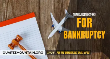 Exploring Travel Restrictions for Individuals Facing Bankruptcy