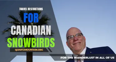 Snowbirds: Navigating Travel Restrictions for Canadian Travelers