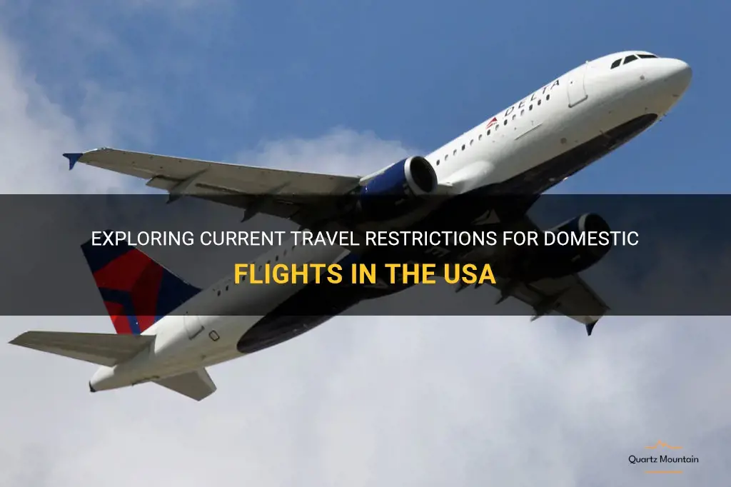 travel restrictions for domestic flights in usa
