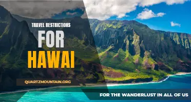 Understanding Current Travel Restrictions for Hawaii's Visitors