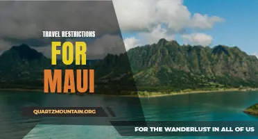 Understanding the Travel Restrictions Imposed for Maui