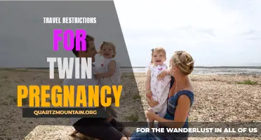 Navigating Travel Restrictions for Twin Pregnancy: What You Need to Know