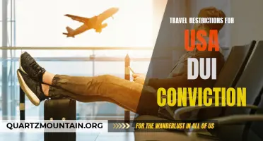 Understanding the Travel Restrictions for Individuals with DUI Convictions in the USA