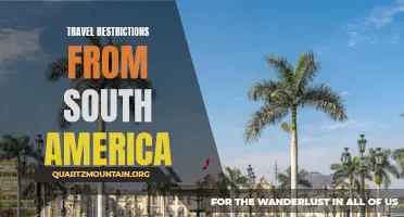 Exploring the Current Travel Restrictions from South America