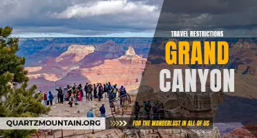 Exploring the Grand Canyon Amidst Travel Restrictions: What You Need to Know