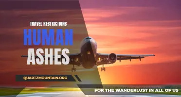 Guidelines and Regulations for Traveling with Human Ashes: Navigating International Travel Restrictions