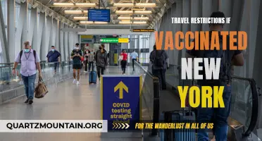 Exploring the Eased Travel Restrictions for Vaccinated Individuals in New York