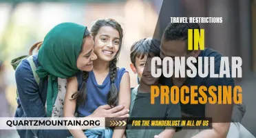 Understanding the Impact of Travel Restrictions on Consular Processing