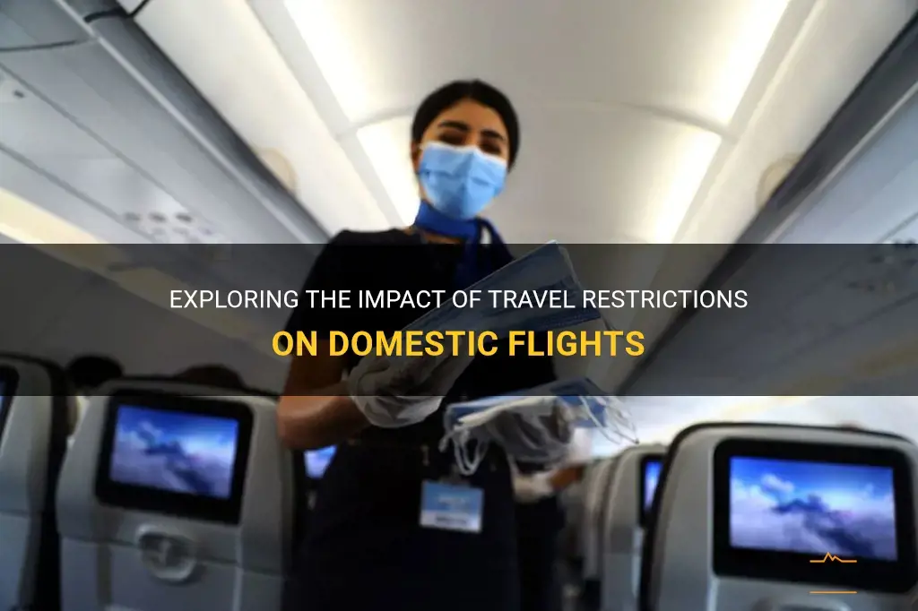 travel restrictions in domestic flights