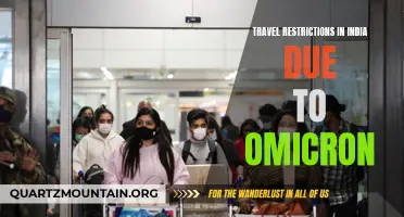 India Implements Travel Restrictions to Combat Omicron Variant: What You Need to Know