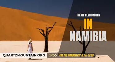 Exploring the Impact of Travel Restrictions in Namibia