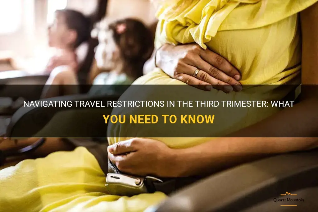 travel restrictions in third trimester