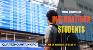 Understanding the Impact of Travel Restrictions on International Students: Challenges and Solutions